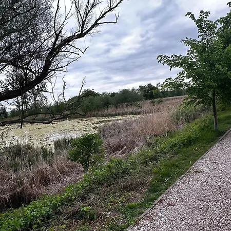 Oaza Spokoju - Walendow