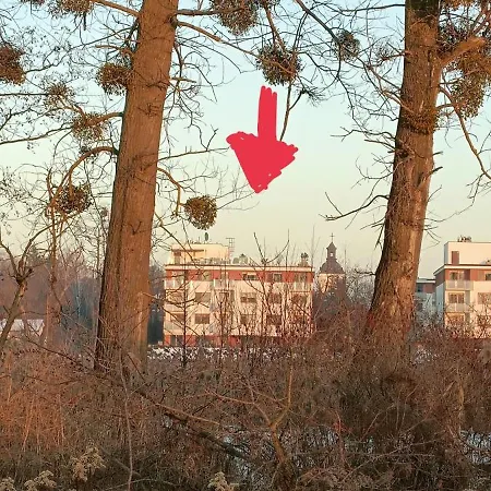 Oaza Spokoju - *